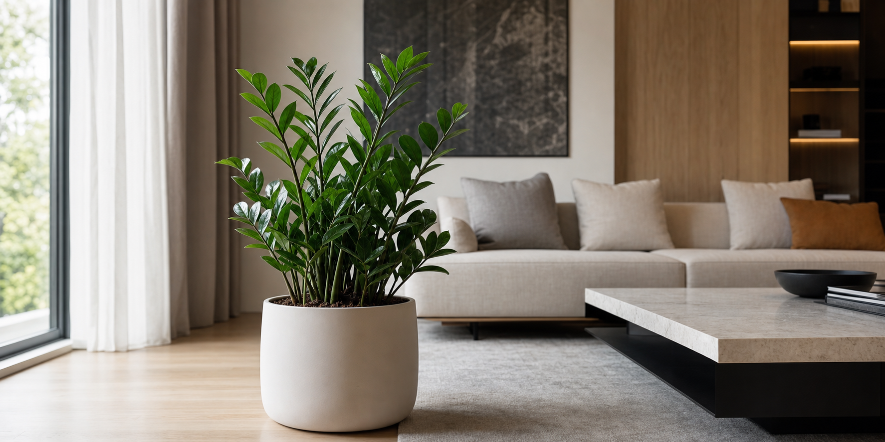 Sala Moderna con Planta Zamioculca en Maceta Minimalista