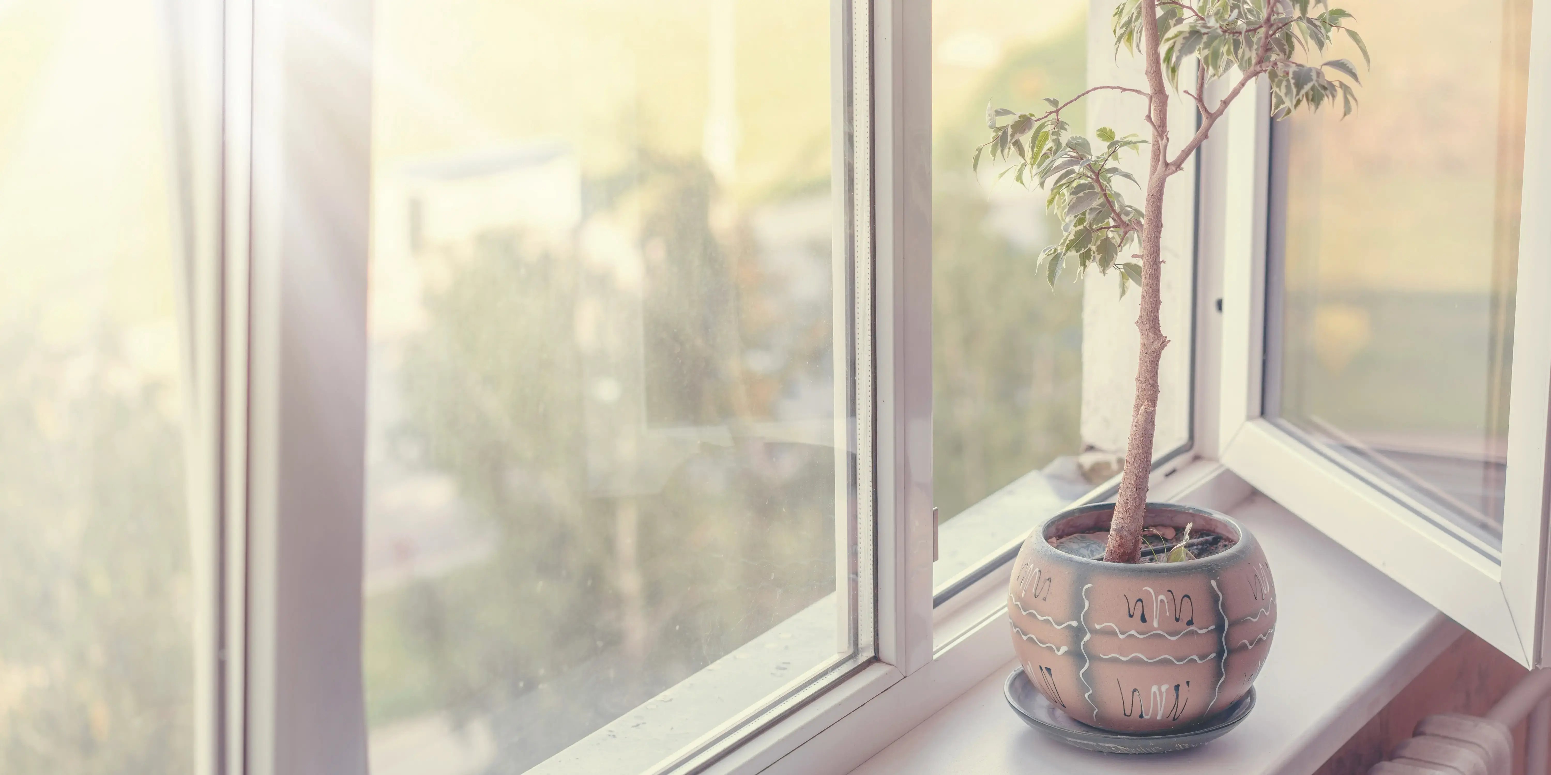 Rayos del sol entrando por la ventana abierta iluminando una maceta conuna planta para hacer una vivienda adecuada para vivir