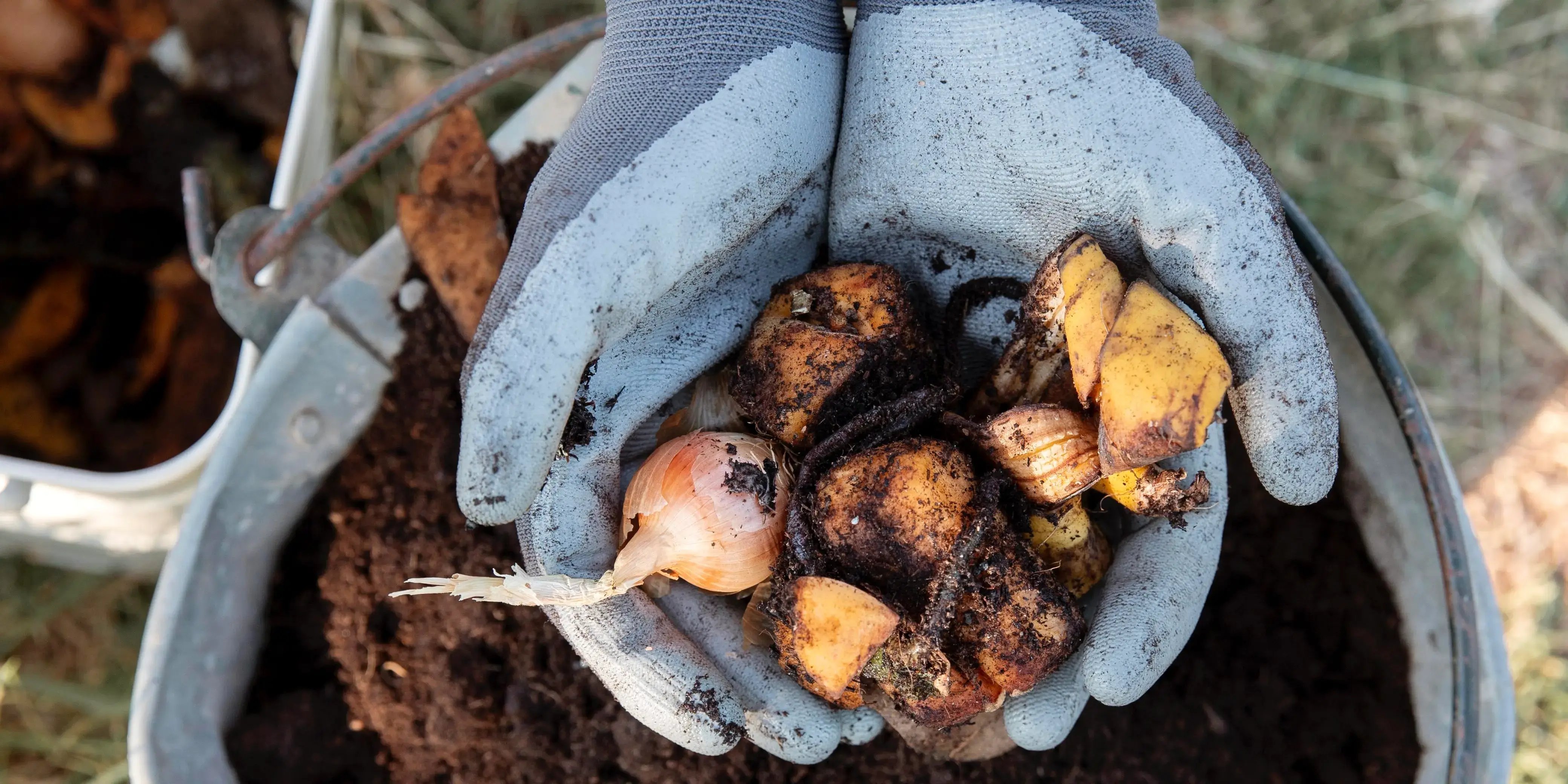 Composta. Tips para cuidar tu jardín