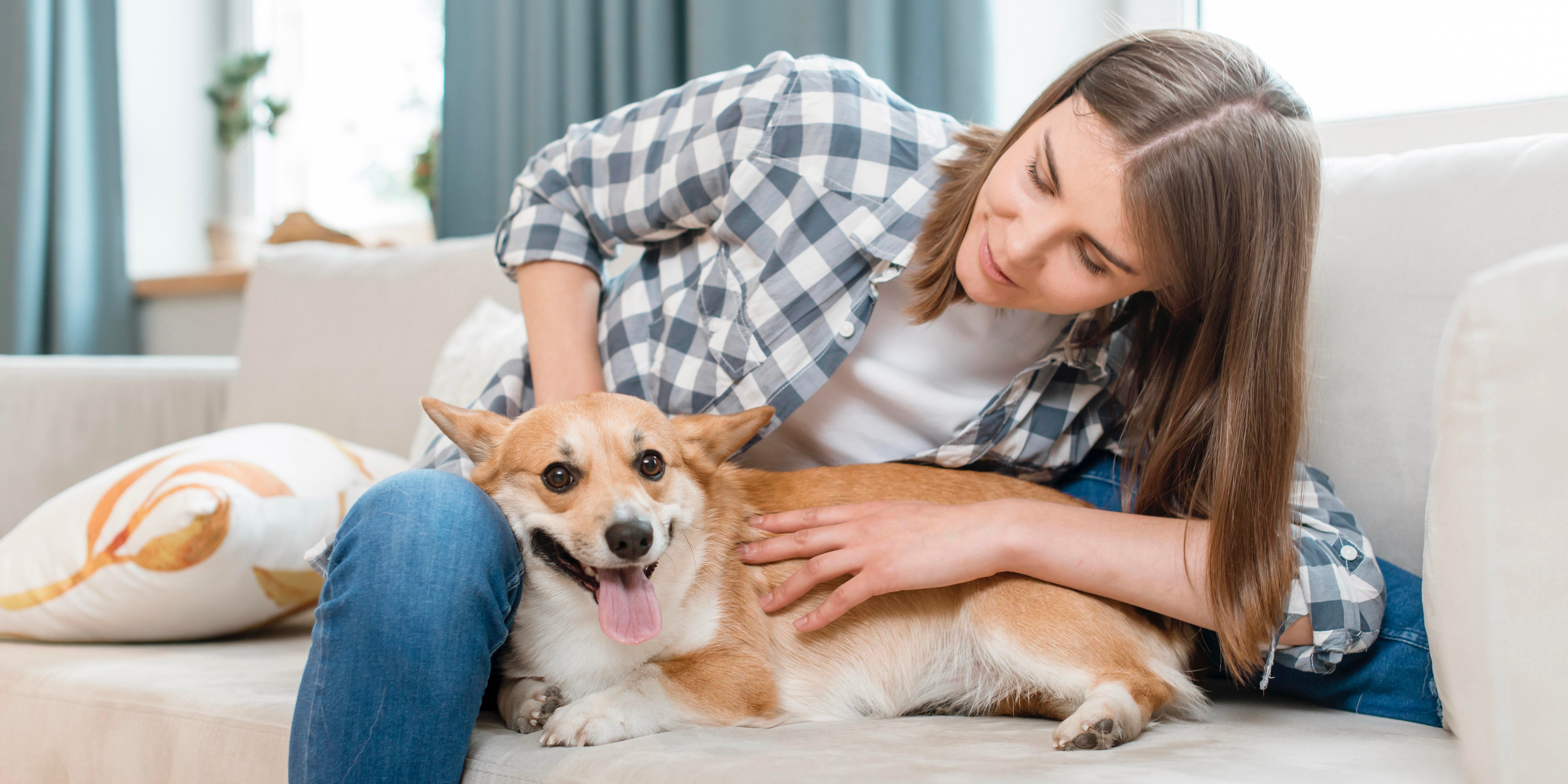 Mujer en el sillón abrazando a su perro. Adaptar tu casa para mascotas