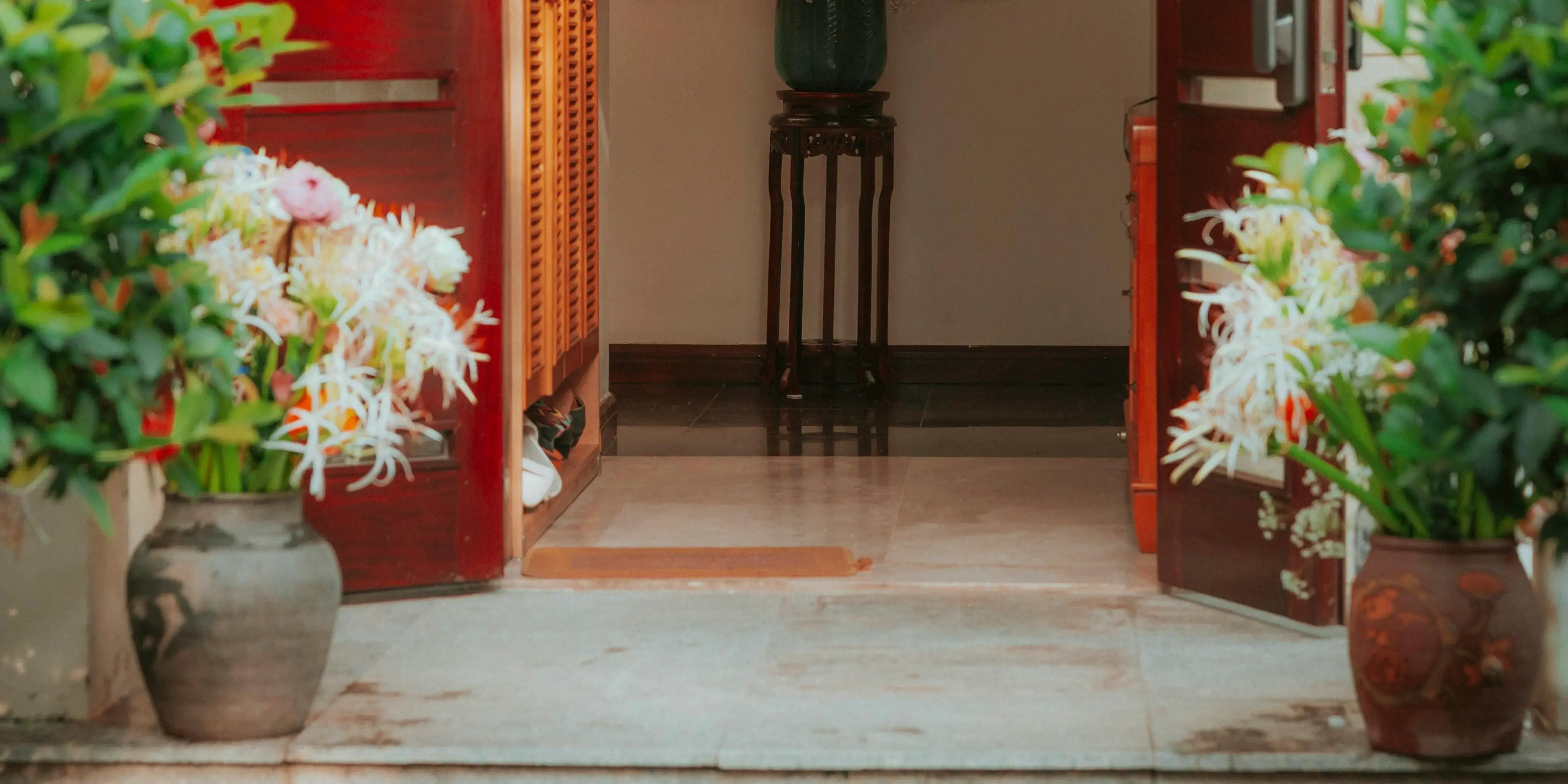 Macetas con plantas afuera de la puerta. Plantas entrada según Feng Shui