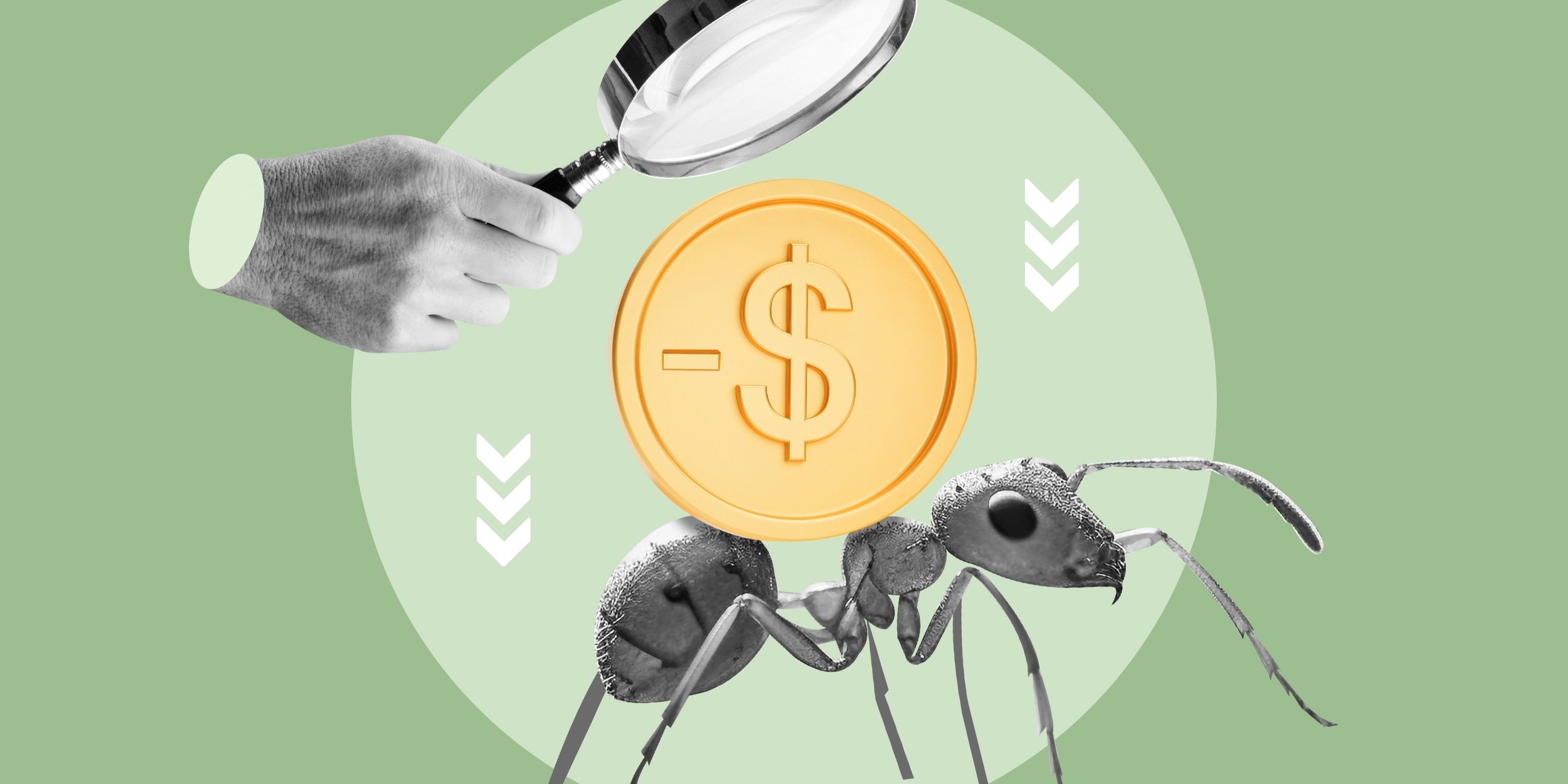 Los gastos hormiga, son un verdadero problema para nuestras finanzas.