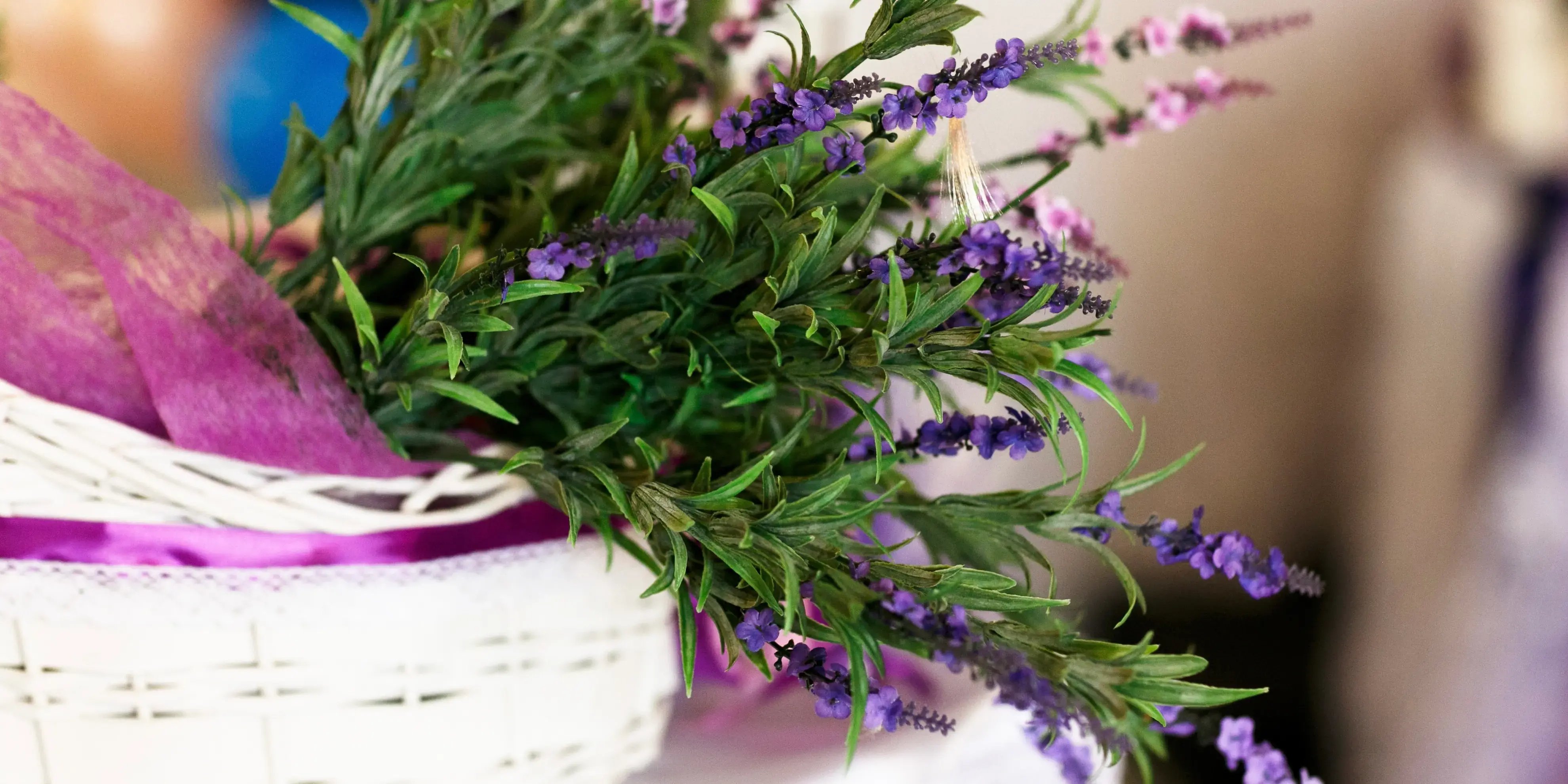 Cesta con lavanda. Plantas en casa