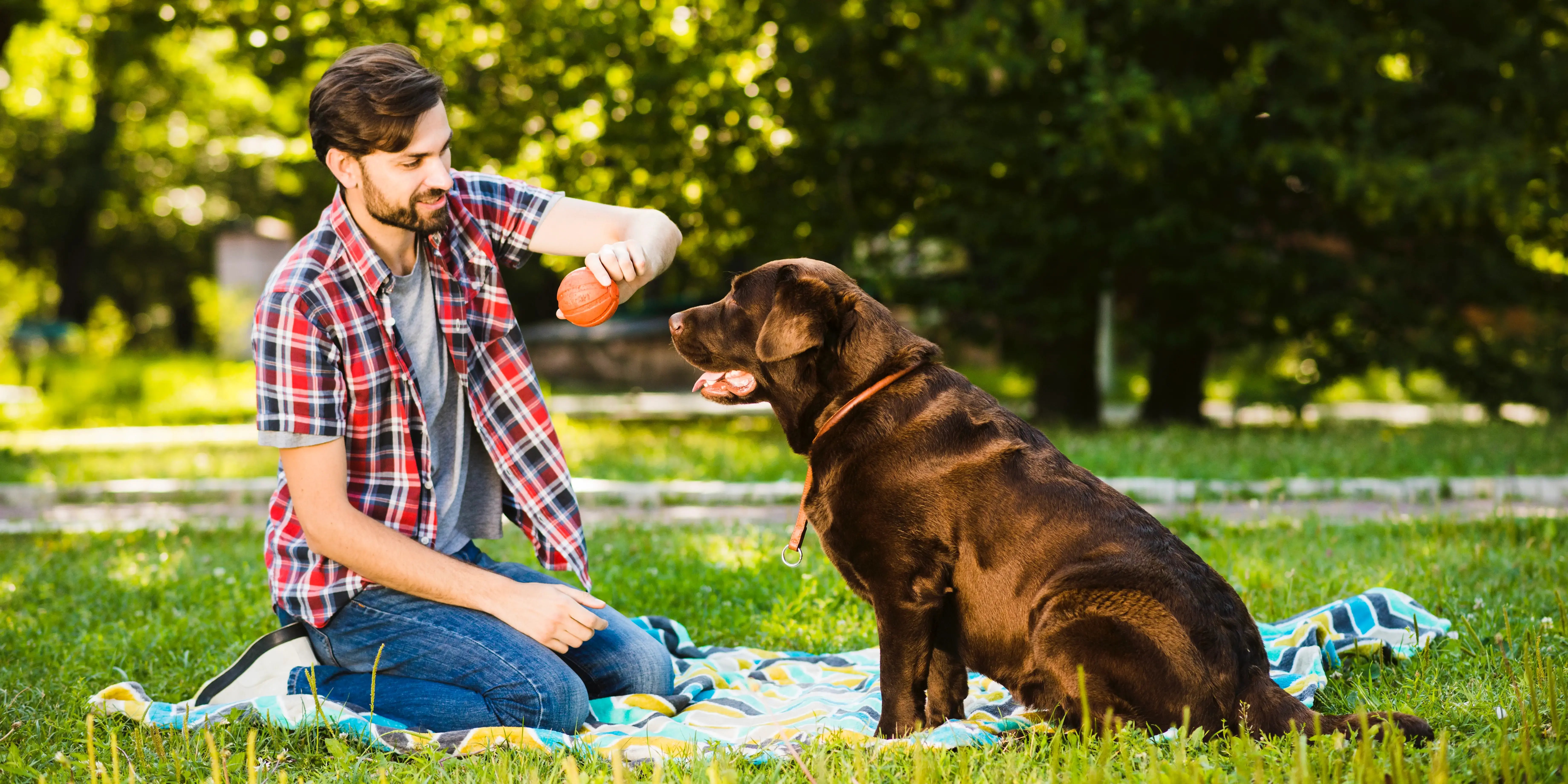 Hombre jugando a la pelota con un perro. Desarrollo pet friendly
