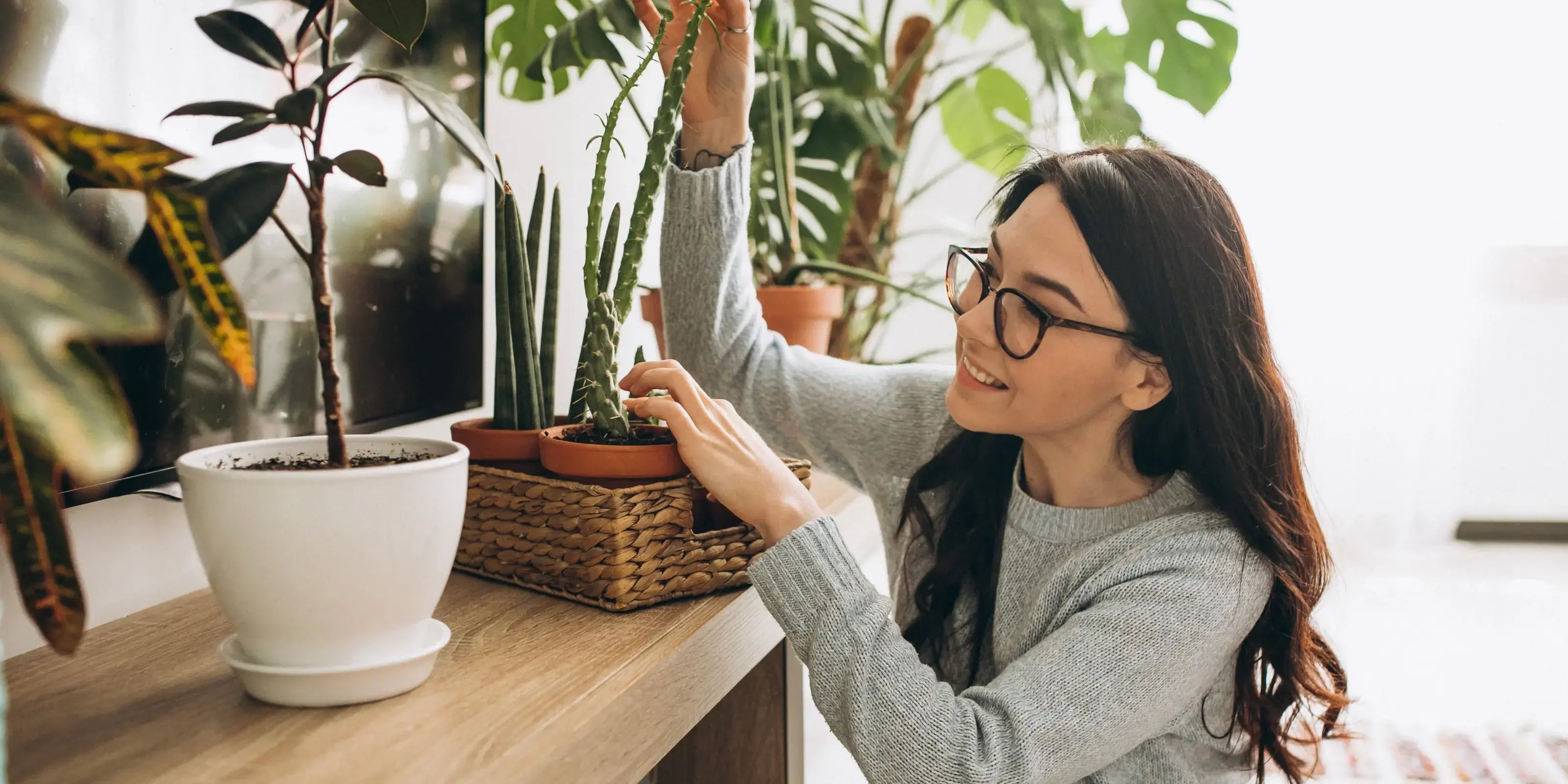 Mujer sosteniendo una planta. Plantas en casa